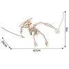 Pterosaur