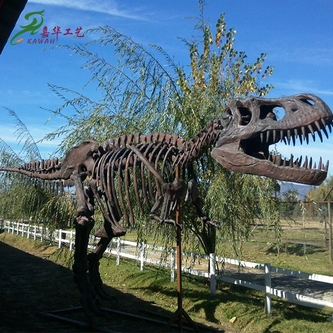 Kawah工場屋内屋外展示t Rex恐竜スケルトン化石レプリカ Buy 恐竜スケルトン スケルトン化石 恐竜化石 Product On Alibaba Com