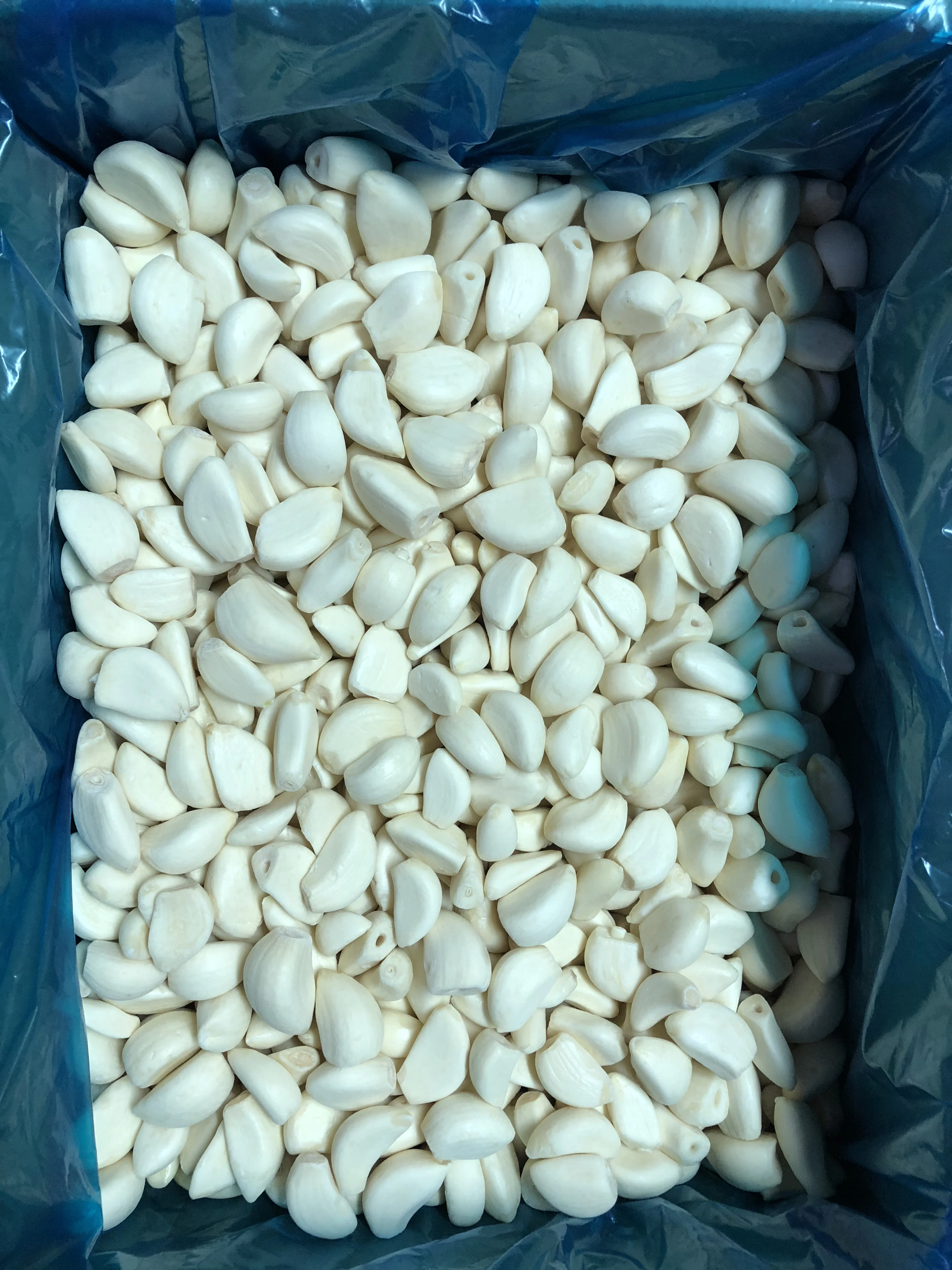 Chinesischer Lieferant Großverpackung Tiefgekühlte geschälte IQF Knoblauch, tiefgekühltes Gemüse