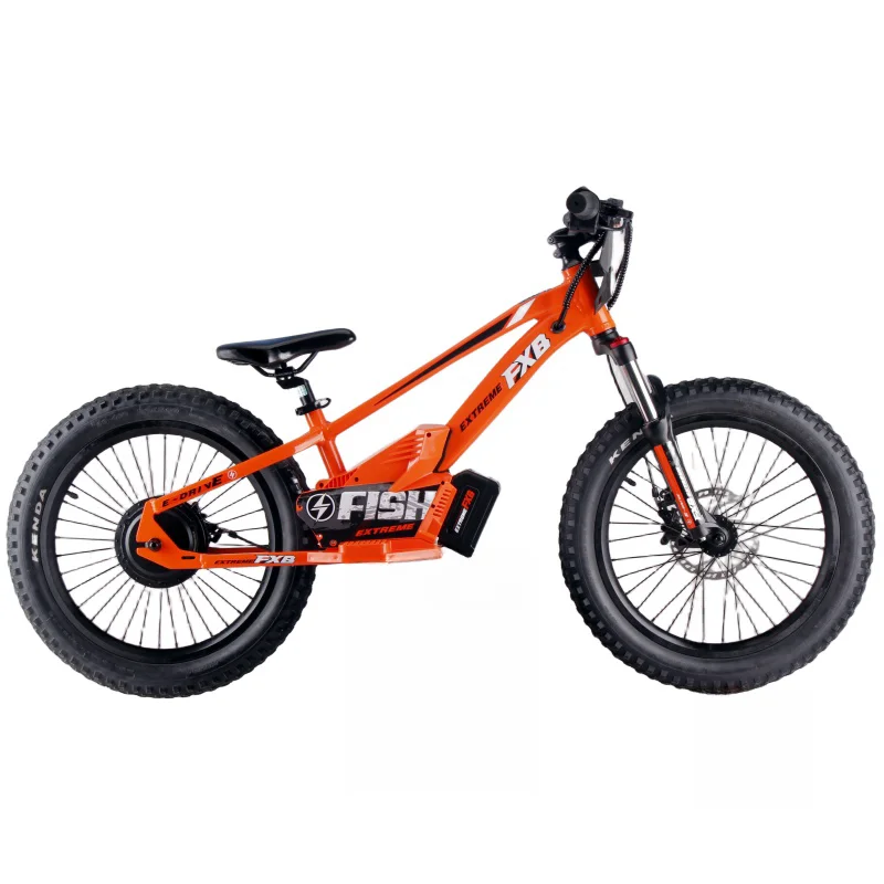 electric motor for 20 inch bicycle 20-Inch Bike Rear Hub Kit, 48V 2000W Electric Bike Conversion Kit, Fat Tire Hub Motor Conversion Kit with LCD Display : Sports & Outdoors Drive eBike Conversion Kits 20 Inch E Bike Transformation