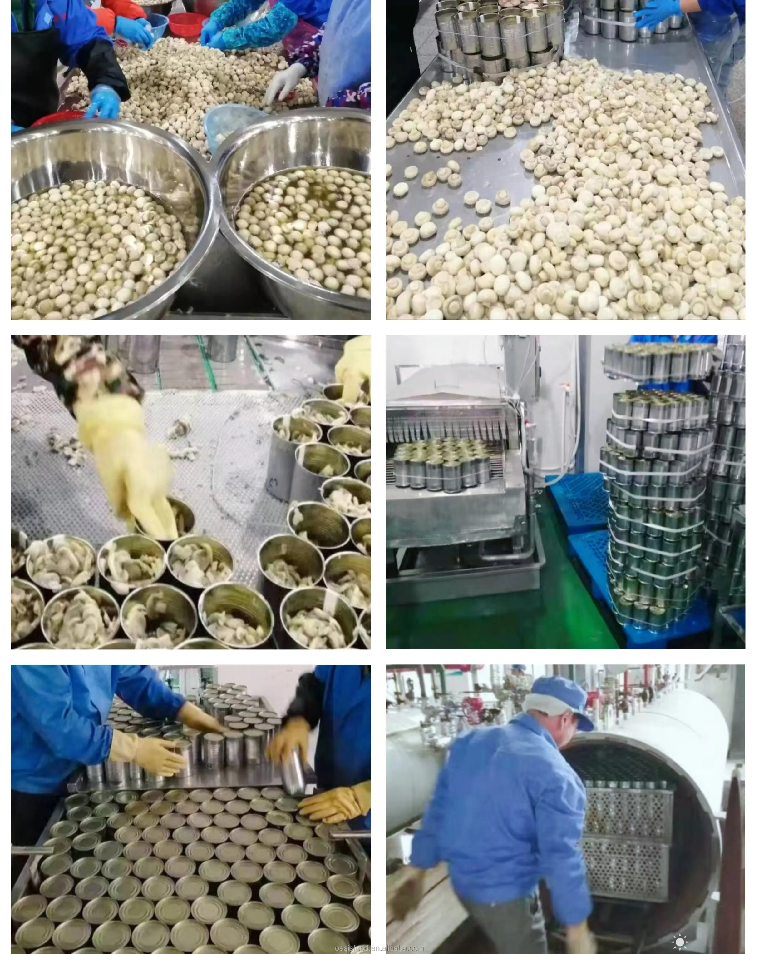 Source 2023 Culture de champignons à faible coût en serre Dôme à travée  unique Film plastique Serre de champignons on m.alibaba.com