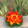 Orange Eva lotus flower [Leaves approximately 18cm]