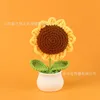 Finished sunflower potted plant (large)