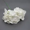White with branches