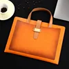 D1011 - Upgraded Document Bag (Laptop Holder) - Yellow (Double Layer Storage, Handle Included)