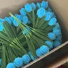 Blu-chiaro