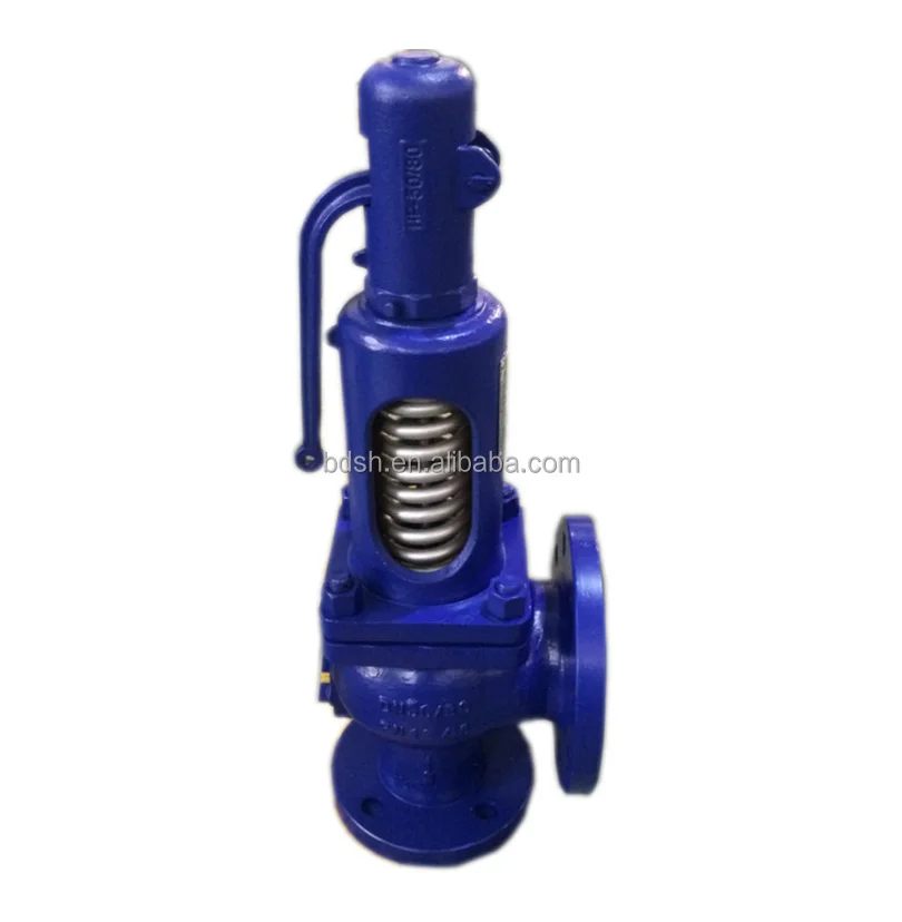 DIN Spring Loaded Pressure Safety Valve DN50 DN80 Safe Type Valves 901 ...