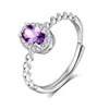 JH0034-1Amethyst