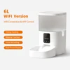 Wifi version