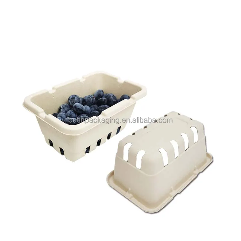 Biodegradable Recyclable Pulp Fibre Berry Baskets Packaging Molded