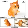 coloré 3838 Vente de Shiba Inus mignons