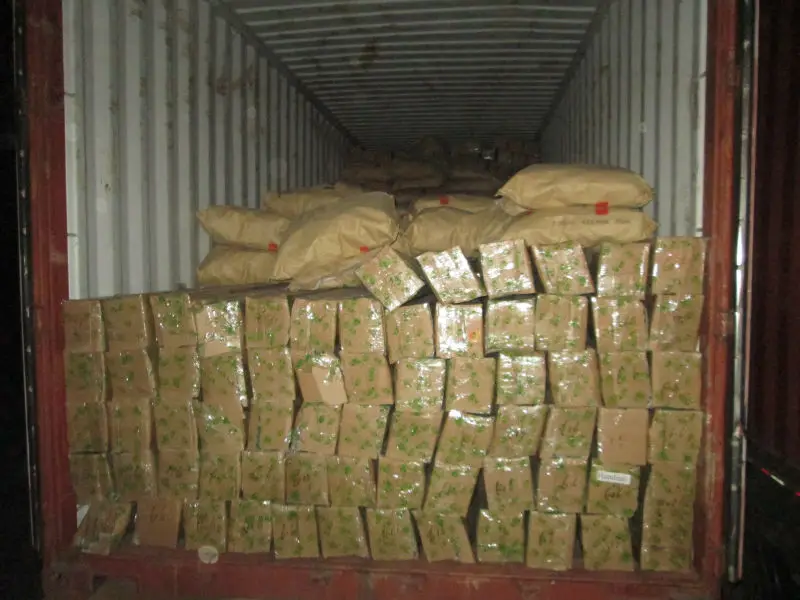 Rapid Refresh Privacy Curtains Hospital Privacy Curtains Disposable