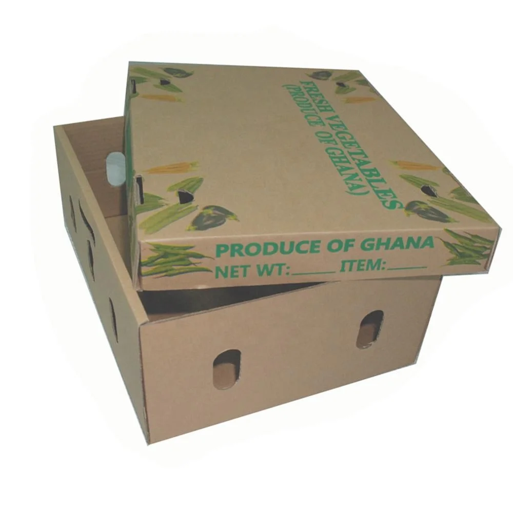 Mangos Fruit Cardboard Carton Box Strong Durable Fresh Fruit Transport Mango Corrugated Packaging with Handle
