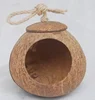 Pulido