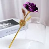 Fiori nudi viola