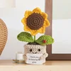 5 Círculos de Girasol