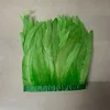 Vert clair