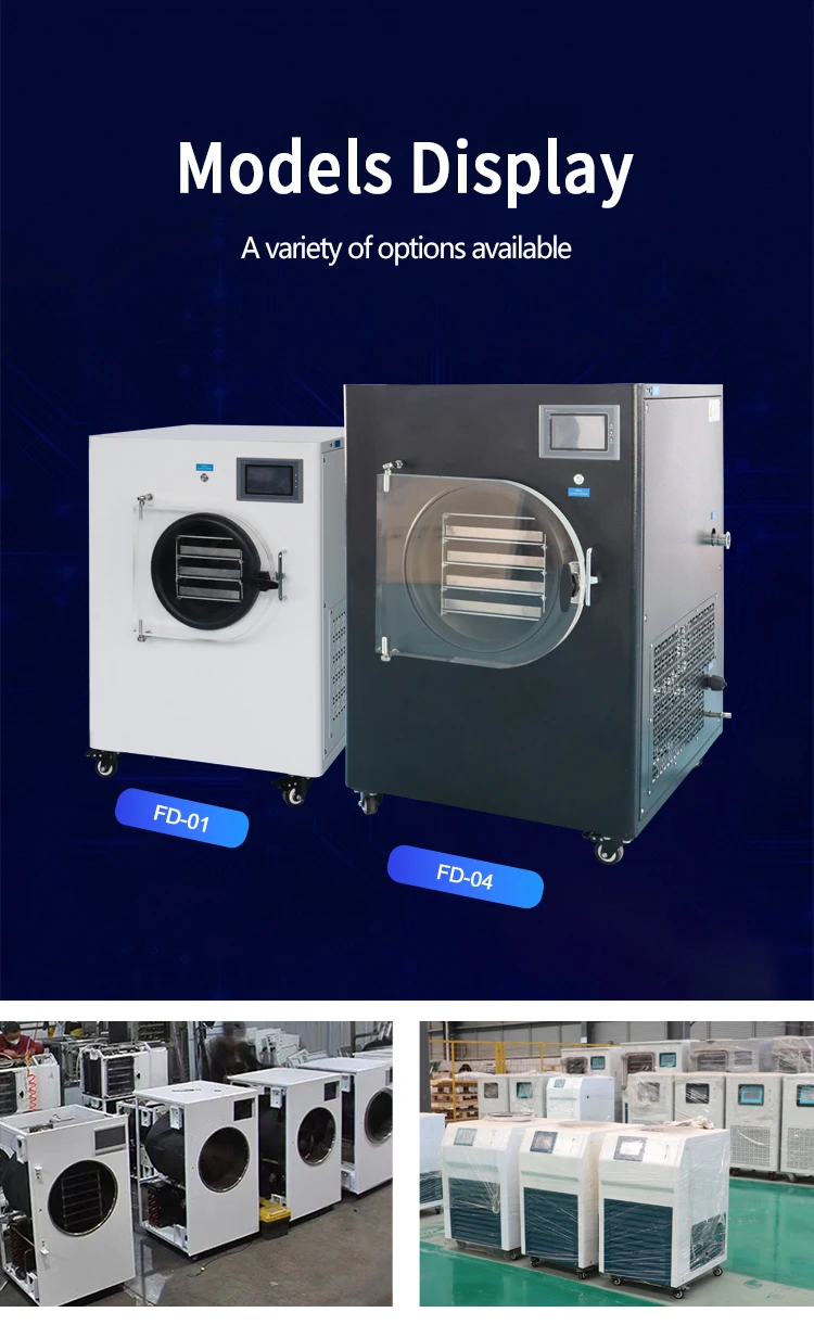 Mini Benchtop Lab Food Freeze Dry Machine - Efficient & Reliable