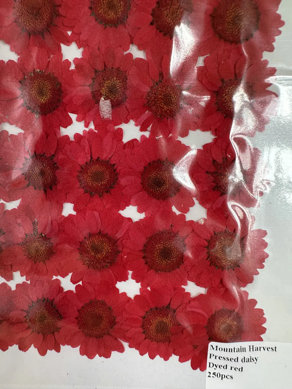 12pcs包雏菊玛格丽特剪贴簿环氧树脂Blingbling天然植物环保真压花| Alibaba.com, image size:1000x1333