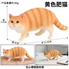 Gato Gordo Amarillo 1550 Colorido