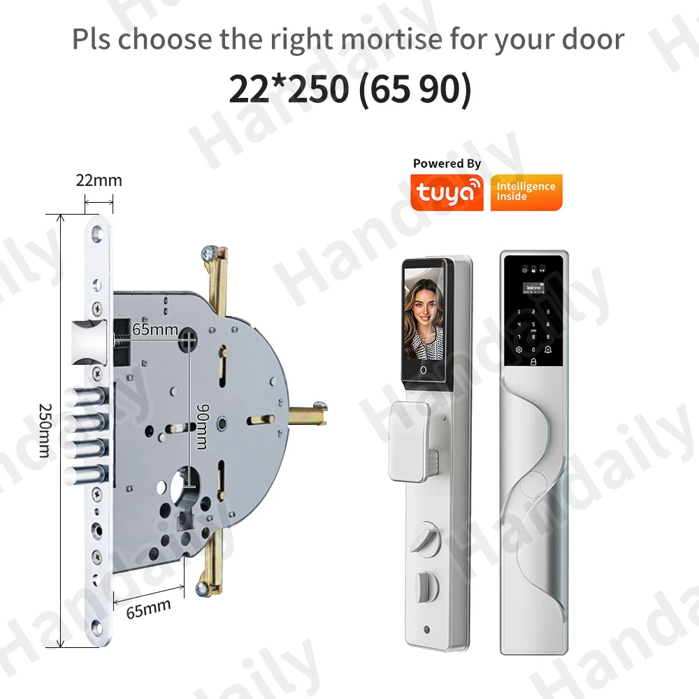 HanDaily Palm Face Recognition Smart Lock Tuya Wifi Video Monitoring Intercom Smart Door Lock with 6590 Mortise S9