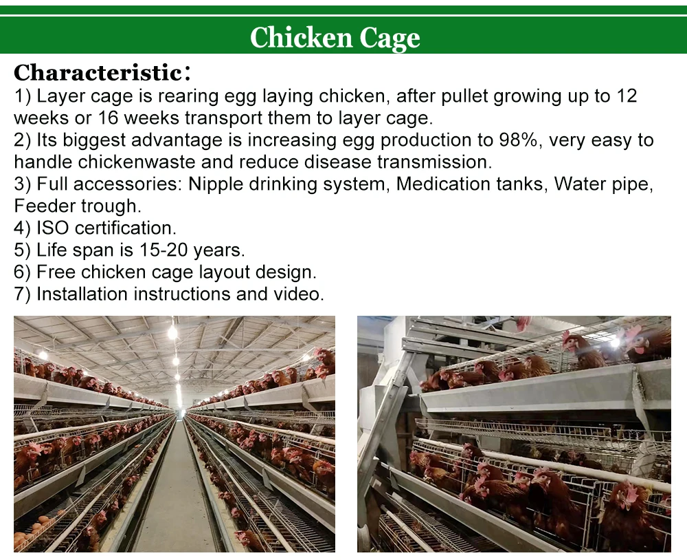 Chicken Cages Poultry Cage Egg Laying Hen Cages For Chicken Farm - Buy ...