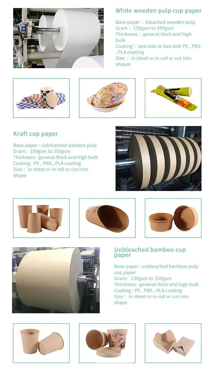 Durable Paper Cups with PE Coating - Ideal for Drinks