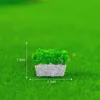 Small Rectangle Grass Terrace