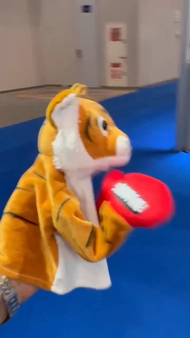 17 Styles Kids Cute Cartoon Soft Stuffed Plush Animals Doll Toys Parent