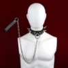Silver+Metal leash