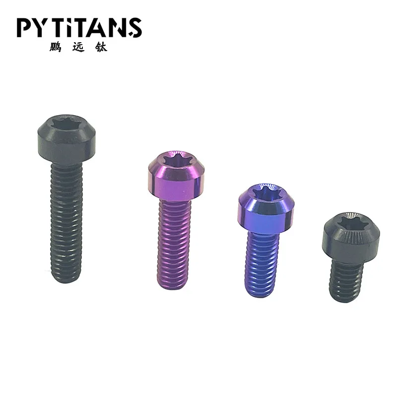 Vis Titanium Grade 5 Tête Conique Torx - Lot Tailles M4 M5 M6 M8, Couleur PVD