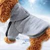 Dos patas, un perro gris.