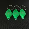 Custodia verde con luce UV 395-400nm