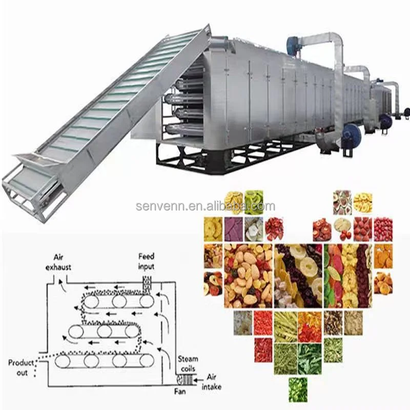 SUS304  Continuous Mesh Belt Dryer Used in Herbal Industrial