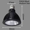 Par30 black case kit 20W