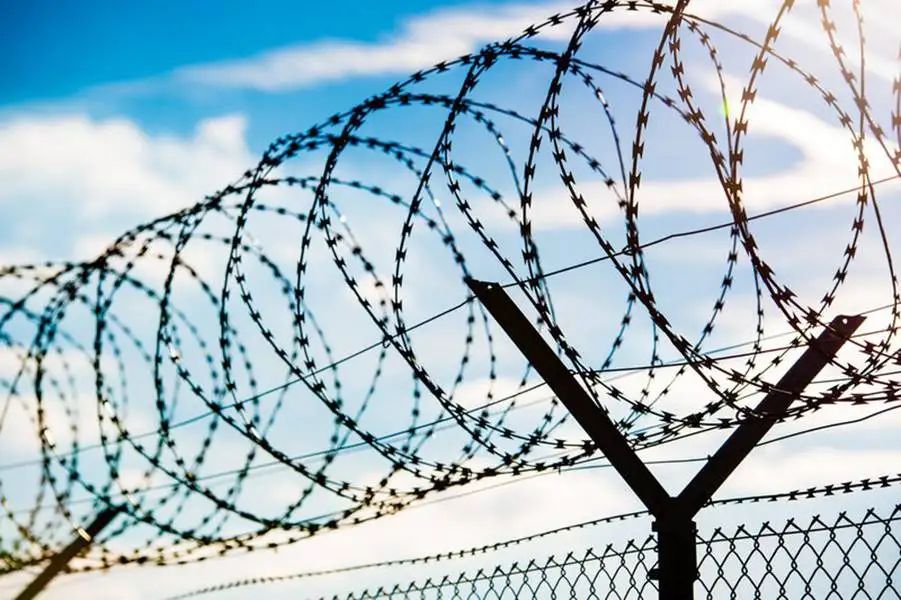 BTO-22 High Security Galvanized PVC Coated Concertina Razor Blade Fencing Wire for Border and Prison Fence Made From Iron Wire
