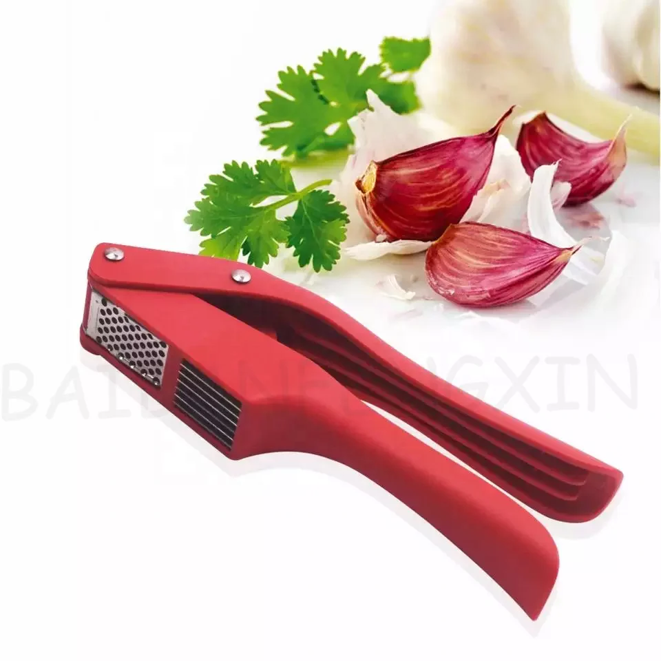 High Quality 2 in 1 Manual Stainless Steel Garlic Press Handheld Ginger Mincer Product Home and Kitchen Gadgets