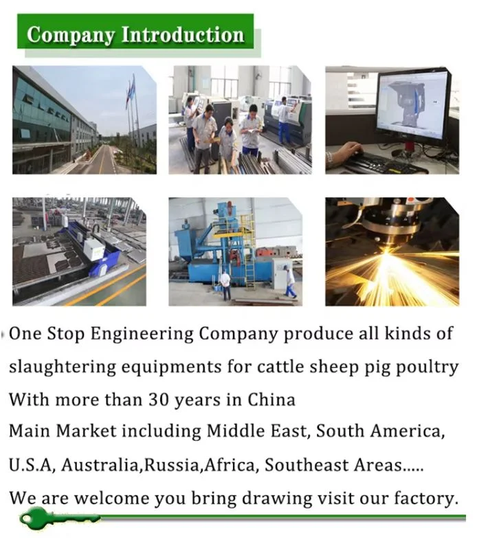 Turnkey Sheep Slaughterhouse Project | One-Stop Automation Equipment and Construction Solutions