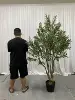 2.1M/6,89ft; Senza pentola