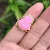 Rosa/CZ
