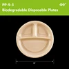 plato transparente