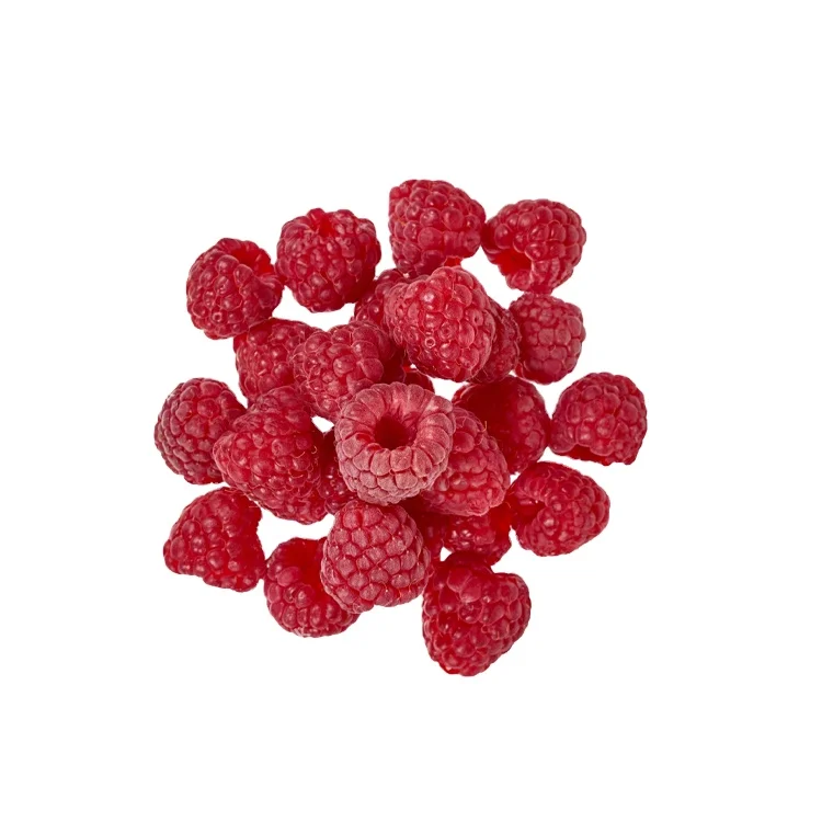 Haute qualité, nouvelle récolte de framboises IQF congelées conservées dans l'eau, fruits de framboise pour la vente au détail et en gros en vrac