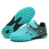 Turquoise-TF