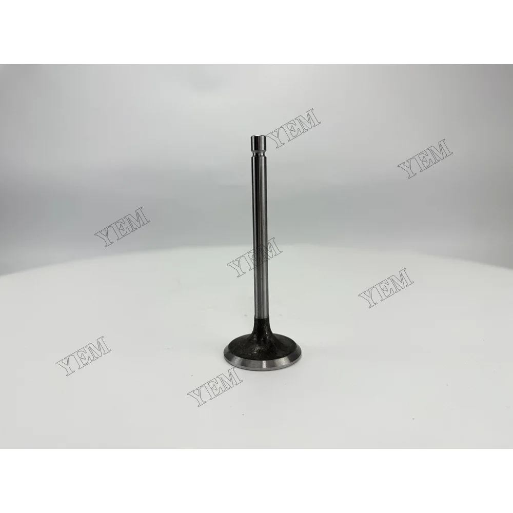 Intake Valve for Deutz CA498-12 Engine Spare Parts 3