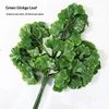 Feuilles de Ginkgo vertes