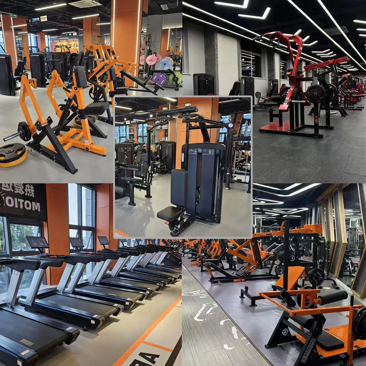 High Quality for Impulse Fitness Gym Equipment Set Smart Home Training Features Complete Gym for Legs Exercise Directly From Chi