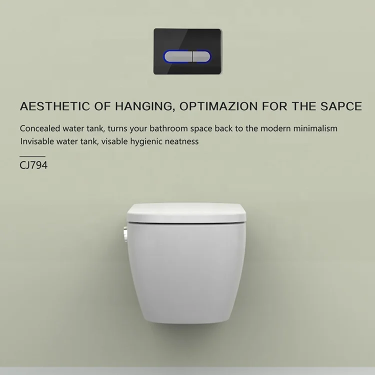 Wall Mounted HDPE Water Tank Frame Element Toilet Cisterns Compatible with Oceanwell Plates Toilet Tanks