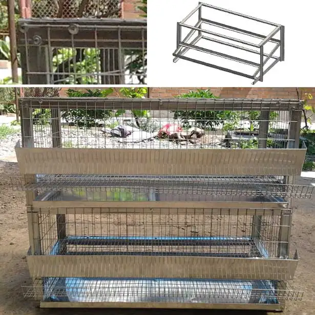 Commercial Quail Cage Farm System Breeding /quail Cages For Egg