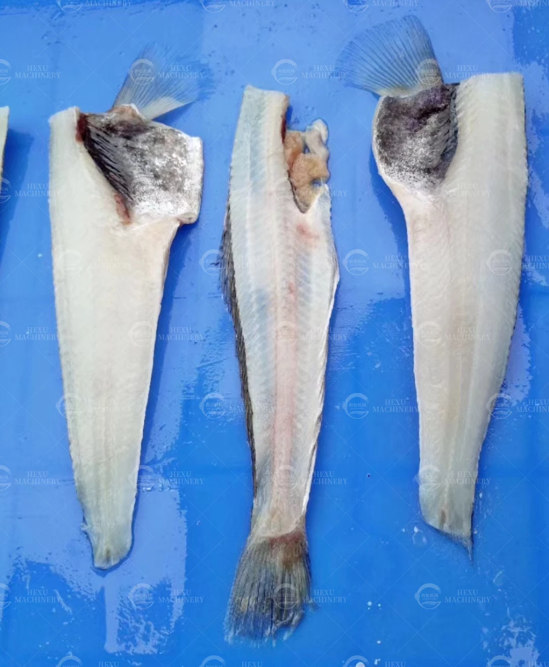 Fish Fillet Machine Tilapia Fish Fillet Fish Processing Machine - Buy ...