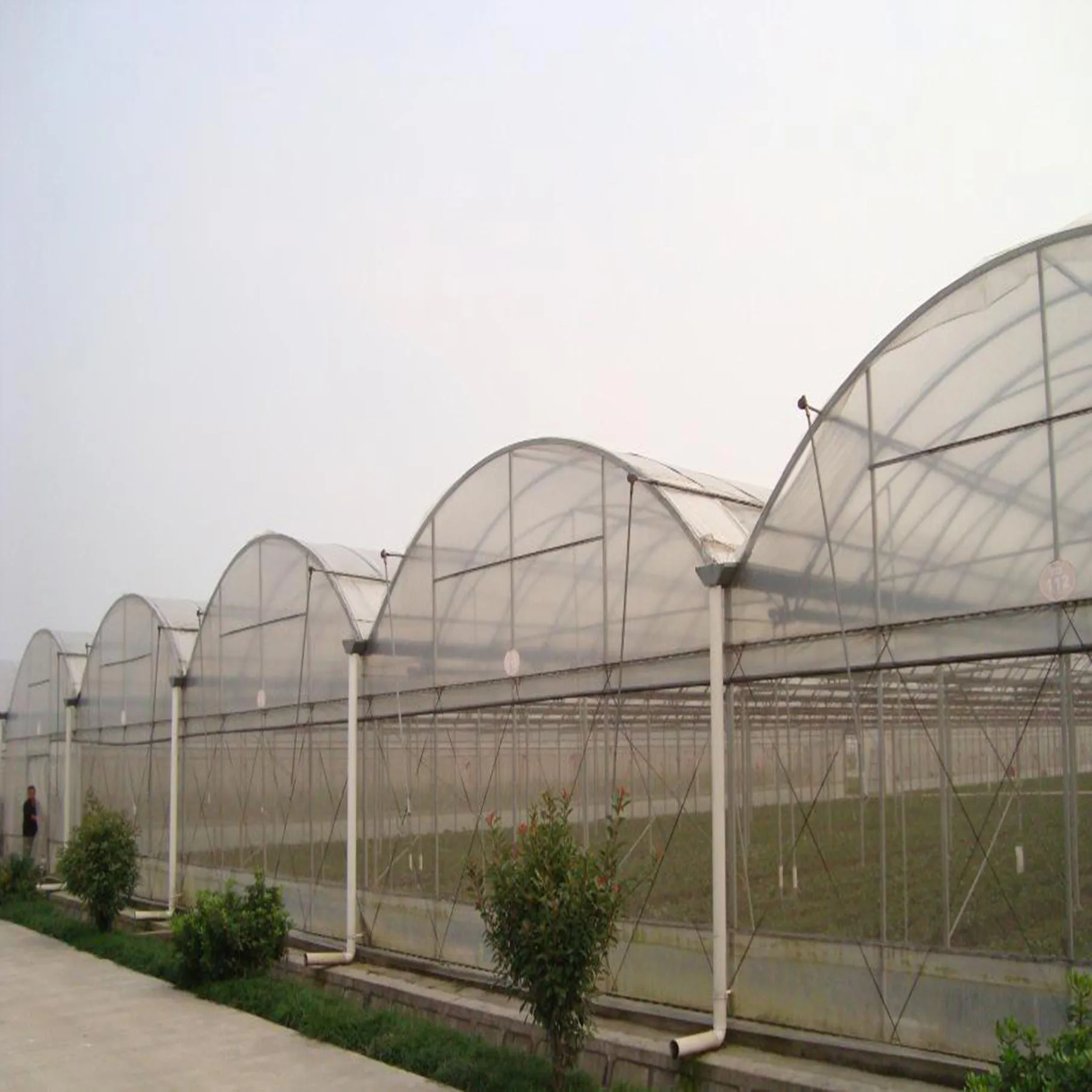 Agricultural Greenhouses Multispan Greenhouses Buy Vegetable Greenhouses For Sale,Agricultural